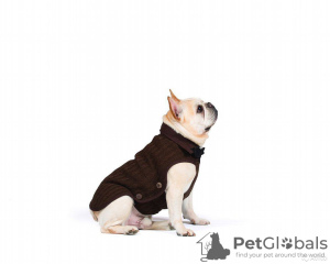 Фото №1. Вязаная нано куртка (свитер) Nano Knit Sweater Dog Gone Smart. в Москва. Цена 2000₽. Объявление №11534