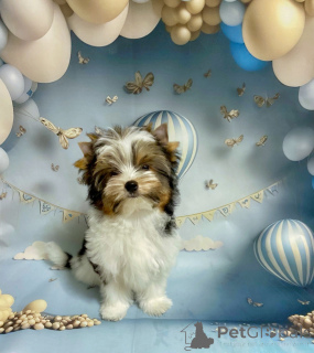 Фото №3. Виктория.  Беларусь