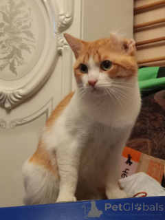 Фото №1.  - купить в Москве реке за Бесплатно. Объявление №162994