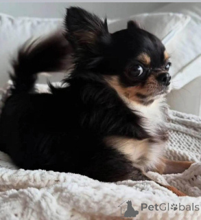 Фото №3. Всем привет, я обращаюсь с тяжелым сердцем. Моя сестра недавно скончалась,.  США