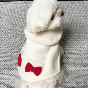 Фото №3. Продается милый очаровательный щенок мальтийской болонки. Свяжитесь с WhatsApp.  Финляндия