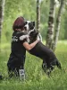 Дополнительные фото: Молодая домашняя собака Лола в добрые руки