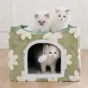 Фото №3. Роскошные котята рэгдолл на продажу. Идеальные кошки-компаньоны.. Польша