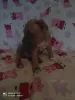 Дополнительные фото: Магда Левандовска