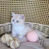 Фото №3. Продается чистокровная британская короткошерстная кошка с очаровательным. Франция
