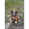 Фото №3. Boxerwelpen.  Германия