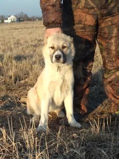 Дополнительные фото: Кабанова Светлана