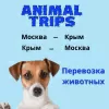 Дополнительные фото: Доставляем животных по всему миру