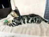 Дополнительные фото: Елена Андреевна