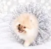 Дополнительные фото: Чудесная малышка! Baby face!