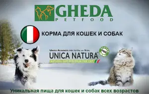 Фото №1. "GHEDA Proper Form Professional Breeders" корм для собак в . Цена договорная. Объявление №4238