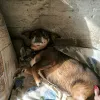 Дополнительные фото: Чудесный мальчик Митя из приюта ищет семью.
