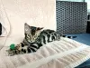 Дополнительные фото: Елена Андреевна