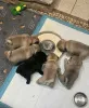 Дополнительные фото: Доступны мужские и женские щенки