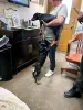 Фото №3. Dejlige Dobermann hvalpe søger et kærligt hjem for altid.  Дания