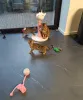 Дополнительные фото: Бенгальский котенок