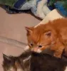 Фото №3. Maine-Coon-Süße WhatsApp an mich unter 44 7453 907158. Германия