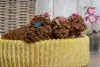 Дополнительные фото: Красный карликовой пудель и игрушечная лапша