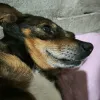 Дополнительные фото: Чудесный мальчик Митя из приюта ищет семью.