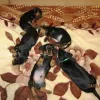 Дополнительные фото: Dachshund Puppy