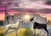 Фото №2 к объявлению №96886 о продаже бультерьера - купить в Сербии заводчик