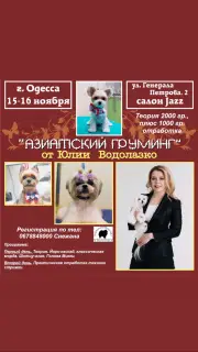 Дополнительные фото: Курсы грумера