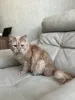 Дополнительные фото: Очаровательный Ютуб
