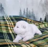 Дополнительные фото: Яцек Видларц