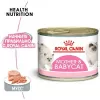 Фото №1. Мусс Роял Канин Mousse Mother & BabyCat в Самаре. Цена 6500₽. Объявление №40498