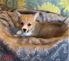 Дополнительные фото: Щенки Corgi Pure Breed