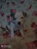 Дополнительные фото: Магда Левандовска