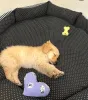 Фото №3. Golden Retriever Puppy на продажу.  США