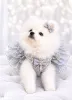 Дополнительные фото: Нежная красотка!