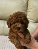 Дополнительные фото: Красные коробки игрушка