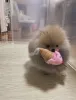 Дополнительные фото: Adorable pomeranian