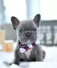 Дополнительные фото: kc registered french bulldogs