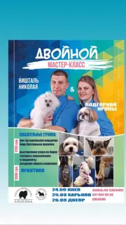 Фото №1 Услуга грумера в Харькове. Цена 5169руб. Объявление №3308
