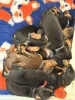 Фото №3. Todella upeita dobermaninpentuja erinomaisella jalostuksella.  Финляндия