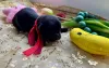 Дополнительные фото: Родословный щенок с сказочным пальто после чемпиона ZKWP/FCI