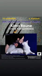 Фото №3. Курсы грумера в  Украине
