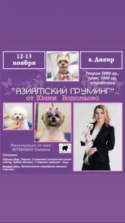 Дополнительные фото: Курсы грумера