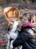 Фото №4. Продажа беспородную в Москва  - цена Бесплатно