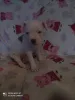 Дополнительные фото: Магда Левандовска