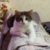 Дополнительные фото: Обратите внимание на нашу милую девочку МУСЮ!