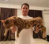 Фото №2 к объявлению №140977 о продаже  - купить в Грузии из питомника, заводчик