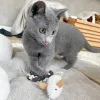 Фото №3. Люблю котят русской голубой окраски.. Кипр