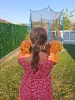 Фото №3. Рыжие той-пудели ищут новый дом.  Сербия