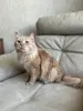 Дополнительные фото: Очаровательный Ютуб