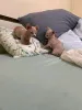 Дополнительные фото: Bambino-Kätzchen Zur Усыновление Verfügbar