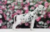 Дополнительные фото: Изысканные Dalmatian Puppies Champion Champion Bloselines, готовые к любящим
